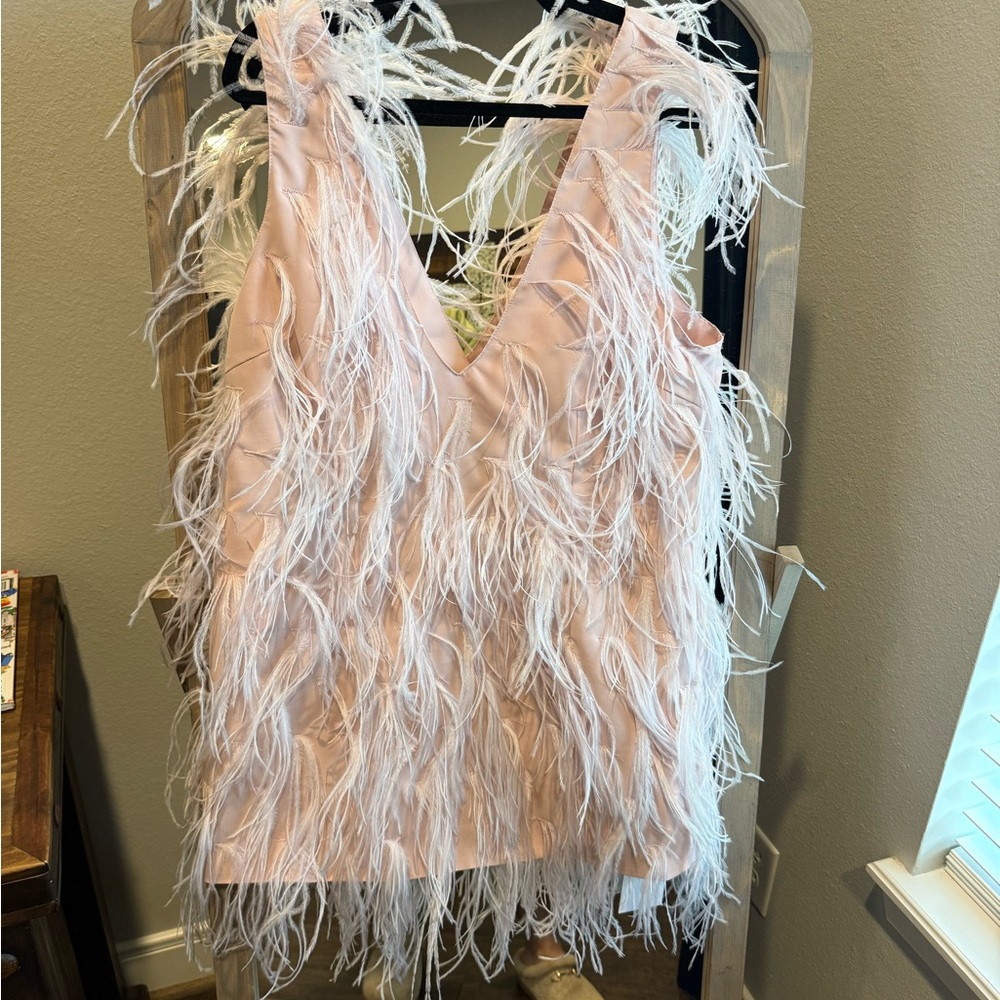 Feathered Pink Mini Dress